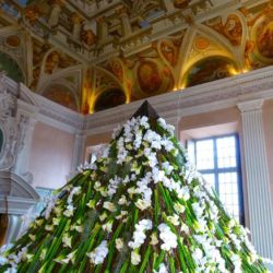 haut-de-cagnes-flower-mountain