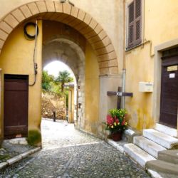 haut-de-cagnes-flowers